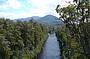 Huon Valley and Tree Tops Walk (Full Day)