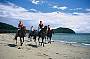 Cape Trib Horse Rides (Afternoon)